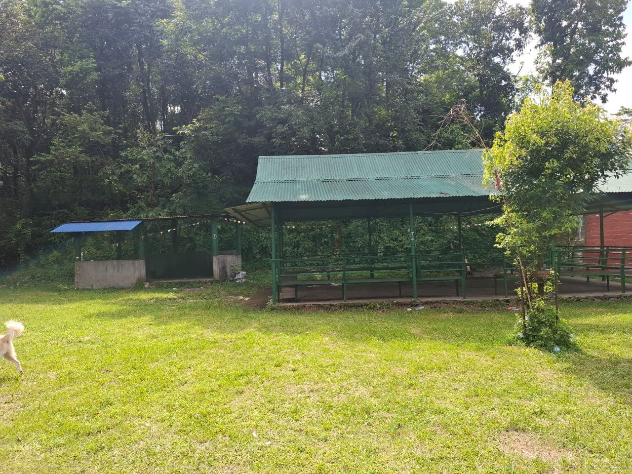 Picnic Spot 1